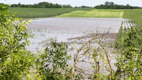 Változékony, gyakran csapadékos idő várható a jövő héten