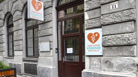 Vertán György cégének használhatatlan szoftverét kényszeríti rájuk az állam a védőnők szerint