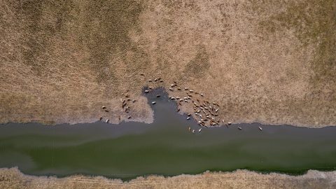 Hamarosan félsivataggá válhat az Alföld egy része