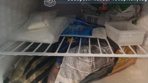 Fegyház vár a zuglói dílerre, aki fagyasztóban tárolta a drogot