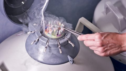 Legalább 67 gyereke született egy génbeteg spermadonornak, közülük tízen később rákosok lettek