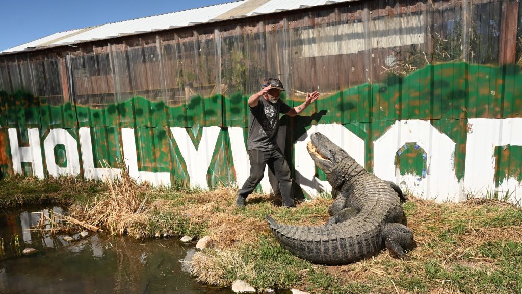 Meghalt Morris, az Interjú a vámpírral és a második Dr. Dolittle-film aligátora