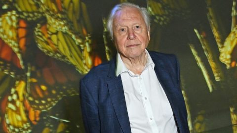 Századik életévébe lépve mondja el legfontosabb üzenetét David Attenborough