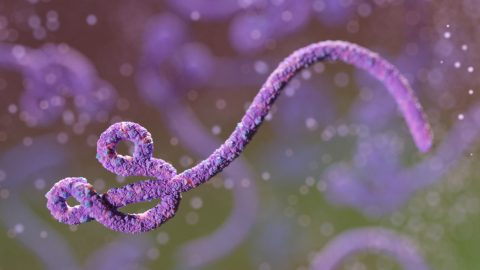 Nem ebolás az az amerikai férfi, akit Prágában kezelnek