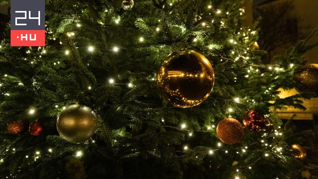 Népszavazás lehet arról, hogy munkaszüneti nap legyen december 24.