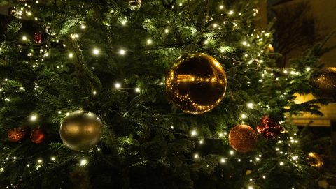 Népszavazás lehet arról, hogy munkaszüneti nap legyen december 24.
