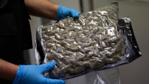 Miskolci fogás: 10 kiló speed, 9 kiló marihuána, 22 deka kokain, 960 ecstasy, 116 LSD-bélyeg, némi varázsgomba, teherkocsi, fűgép, plusz egymillió forint