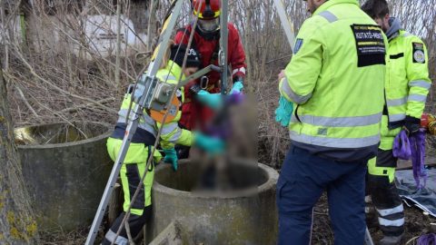 Végrehajtás alatt lévő ingatlanokat szerzett meg ügyvédek segítségével egy banda, az egyik strómant megölték és kútba dobták