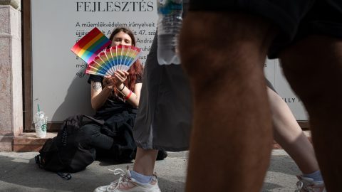 Mit lehet tudni az arcfelismerő rendszer működéséről?