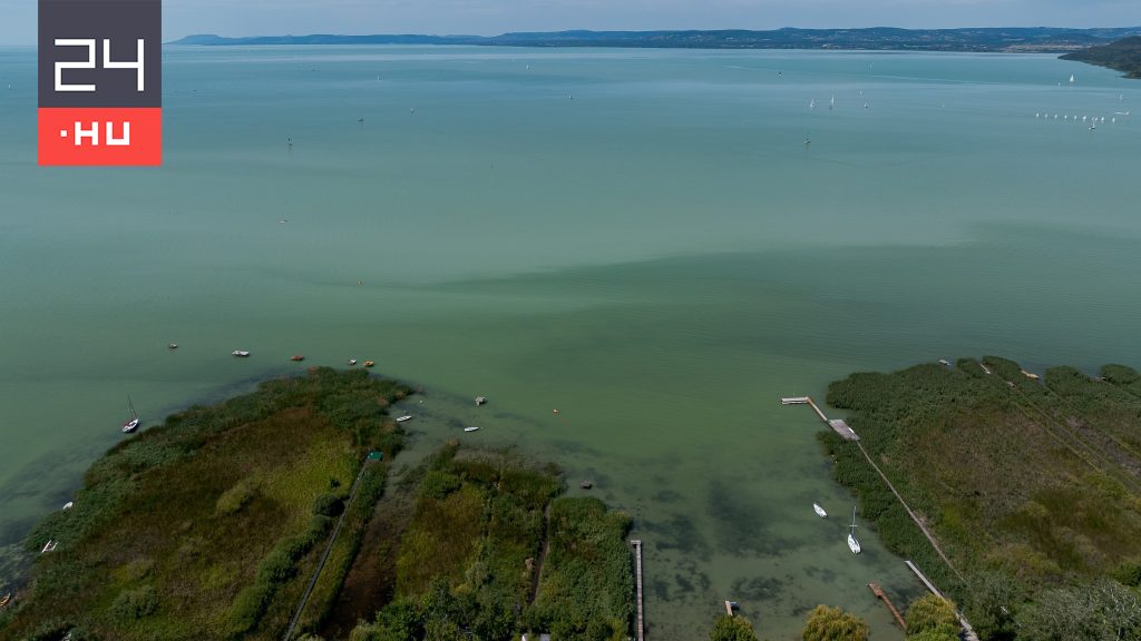 Brutális felmelegedés zajlik a Balatonban, az egész tó átalakulóban van