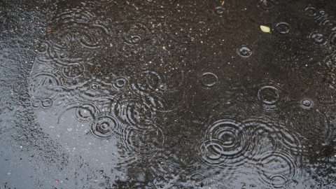 Már látszik, mikor jöhet napokig tartó záporos, zivataros idő