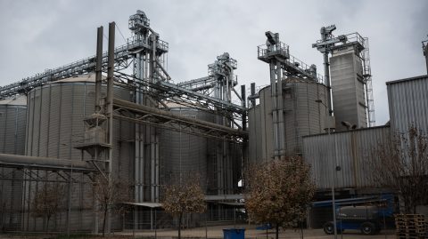 Magyar cég kezébe kerül egy külföldi multi leánya, jelentős felvásárlás az agráriumban