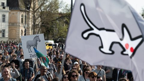 Megvannak a Kétfarkú Kutya Párt listavezetői