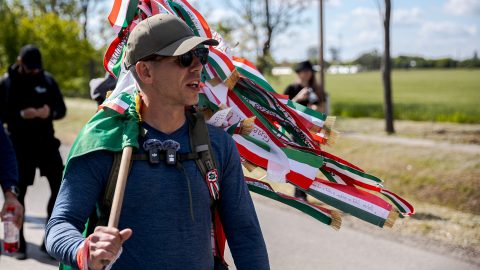 Megsokszorozta nyereségét Magyar Péter tanácsadó cége