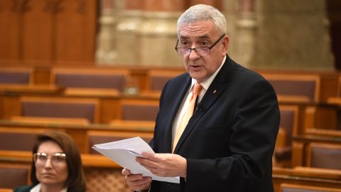 Elfogadták Halász János állampolgárság felfüggesztéséről szóló javaslatát
