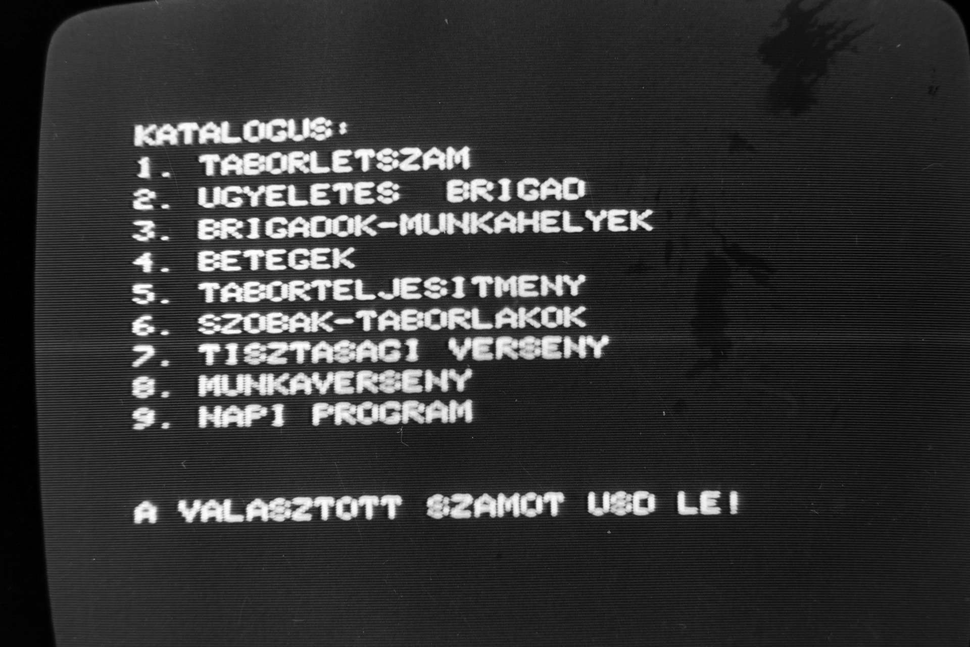 Hajnali harsonaszó és aszfaltozás a hőségben: Így kellett hasznossá tegye magát nyáron is a kommunista ifjúság 21