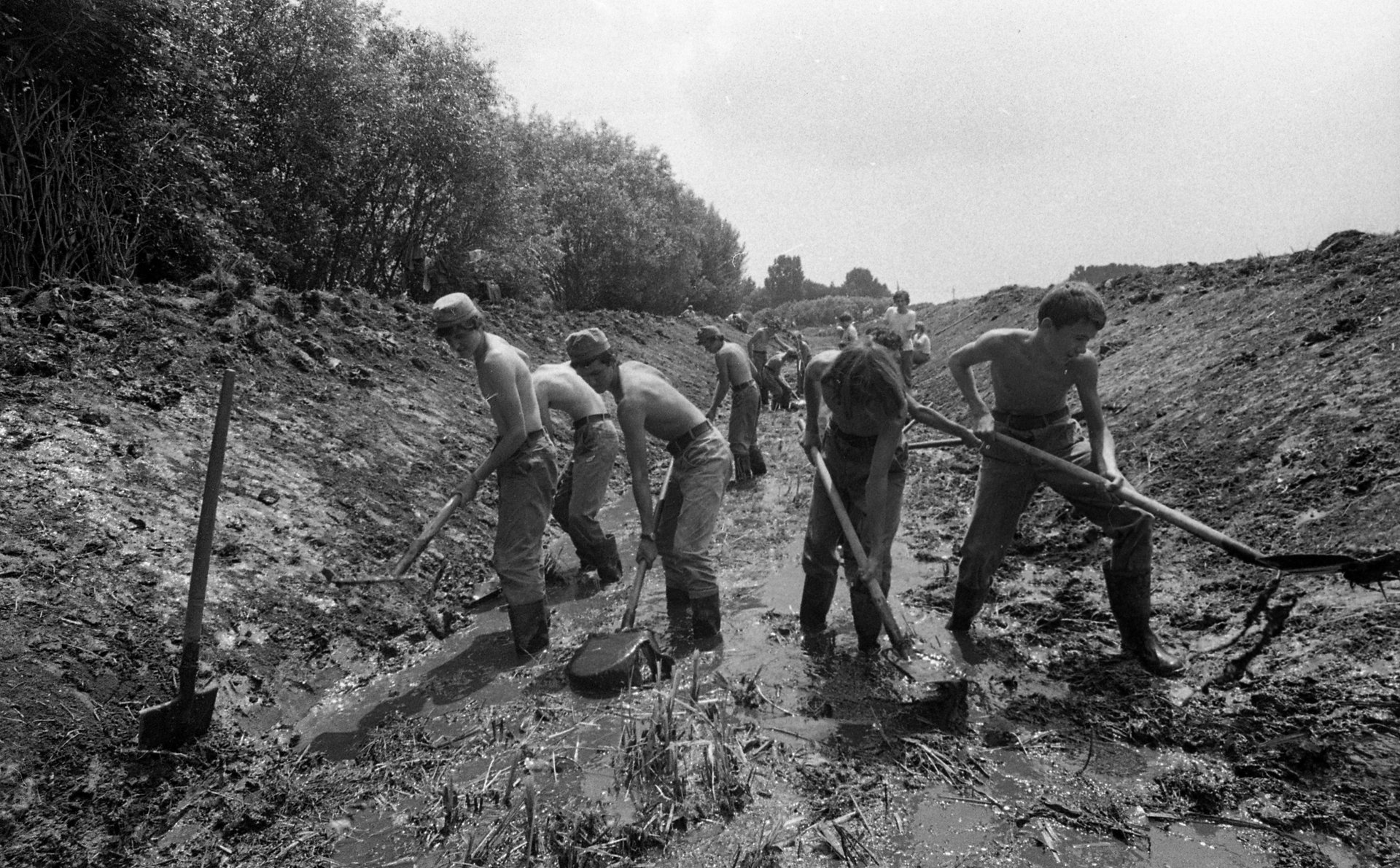 Hajnali harsonaszó és aszfaltozás a hőségben: Így kellett hasznossá tegye magát nyáron is a kommunista ifjúság 26
