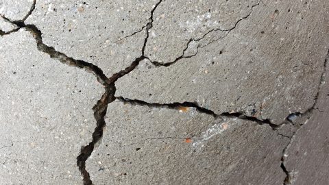 Élő, öngyógyító betont fejlesztettek ki