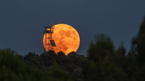 Mi az az eperhold és miért különleges?
