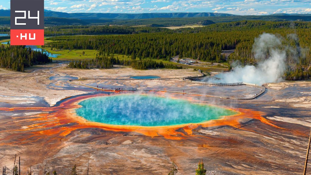 Élve, a turisták szeme láttára főtt meg a termálforrásba tévedt bölény