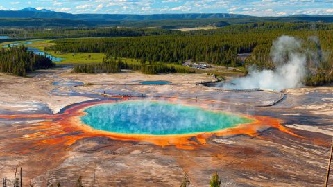Élve, a turisták szeme láttára főtt meg a termálforrásba tévedt bölény