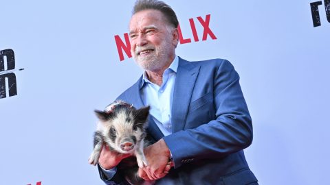 Malacával a karjában vörös szőnyegezett Arnold Schwarzenegger