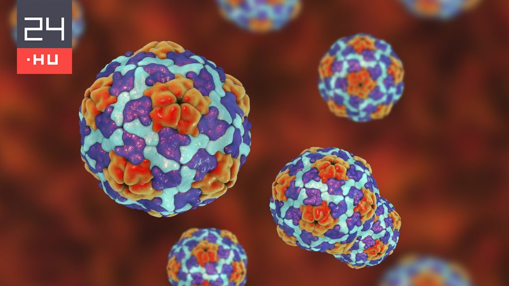 NNGYK: továbbra is jelen van a hepatitis A hazánkban