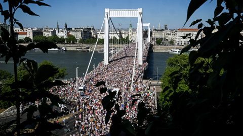 A Refresher is részt vesz a Pride-on
