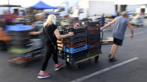 Ötmilliárdnyi vagyont, köztük egy jachtot és rengeteg készpénzt foglalt le a NAV a nagybani piacos akcióban