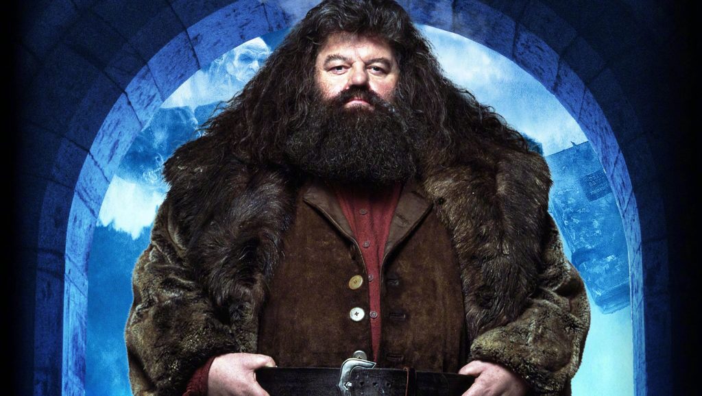 Kiderült, ki játssza Hagridot a készülőben lévő Harry Potter-sorozatban