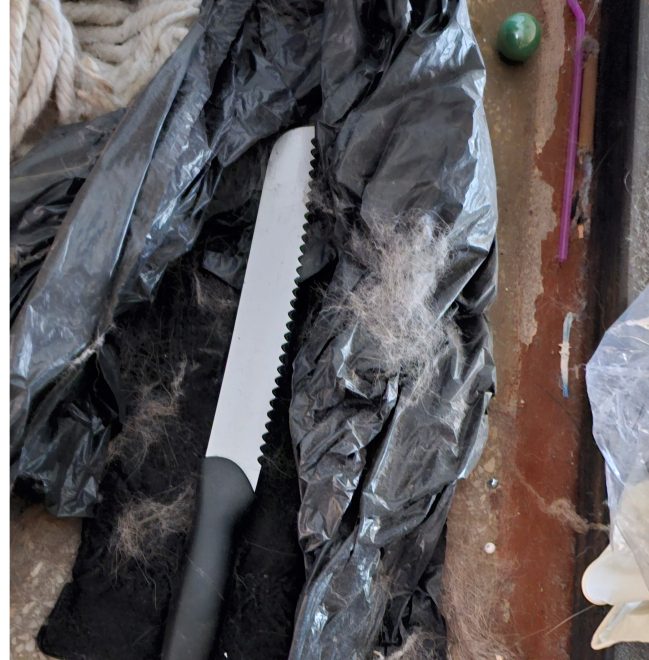 Öt és fél évet kértek egy 15 éves fiúra, aki meg akarta ölni az örökbefogadó szüleit 1