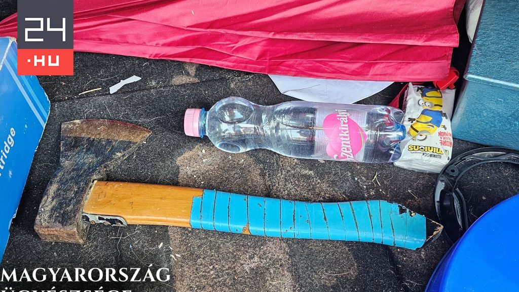 Öt és fél évet kértek egy 15 éves fiúra, aki meg akarta ölni az örökbefogadó szüleit