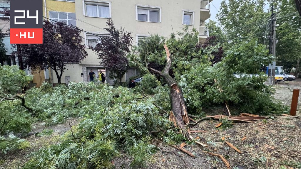 Lesújtott a vihar az országra: megbénult a vasúti közlekedés, 150 ezer háztartás maradt áram nélkül
