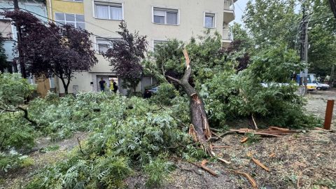Lesújtott a vihar az országra: megbénult a vasúti közlekedés, 150 ezer háztartás maradt áram nélkül