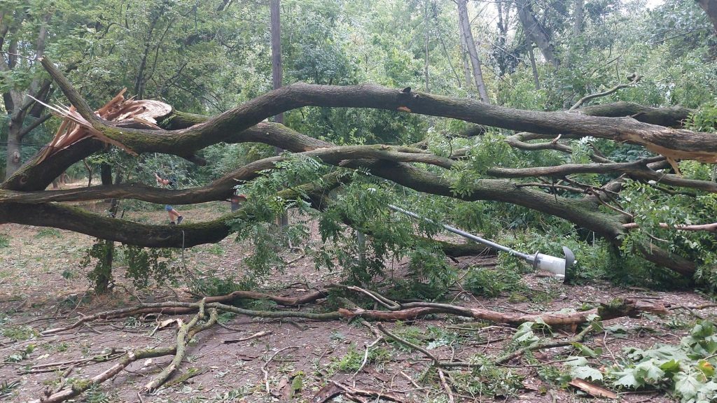 Napokra lezárják az Óbudai-szigetet