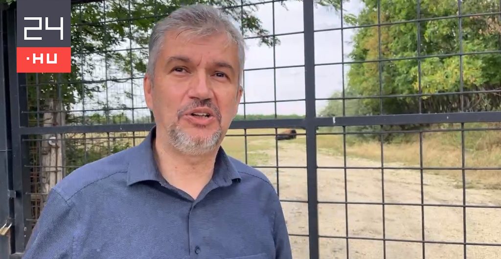Hadházy Ákos talált egy bölényt Hatvanpuszta mellett