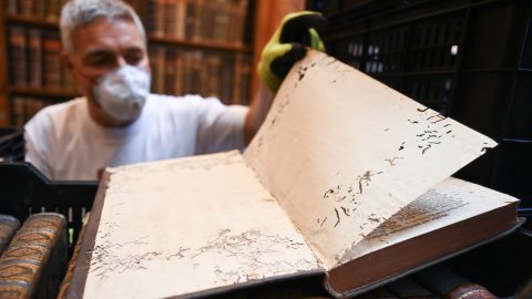 Jövő év elején nyithat újra a Pannonhalmi Főapátság rovartámadást elszenvedett, felbecsülhetetlen értékű könyvtára