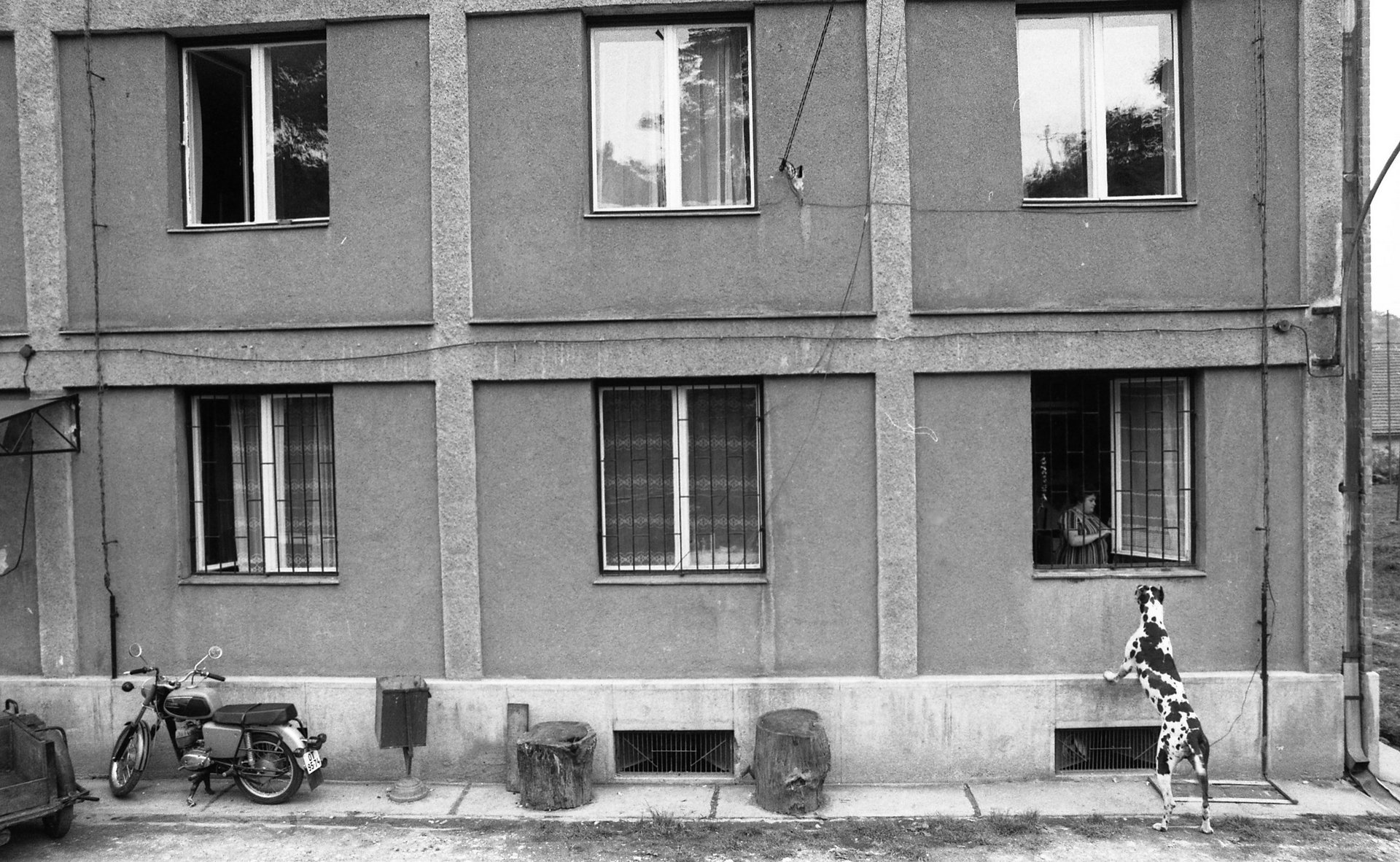 Urbán Tamás 80 – Csövesek, punkok, mentősök és vitatott egzisztenciák egy párhuzamos Magyarországon 24