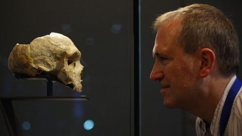 A neandervölgyiek zsírgyárára bukkantak egy német völgyben