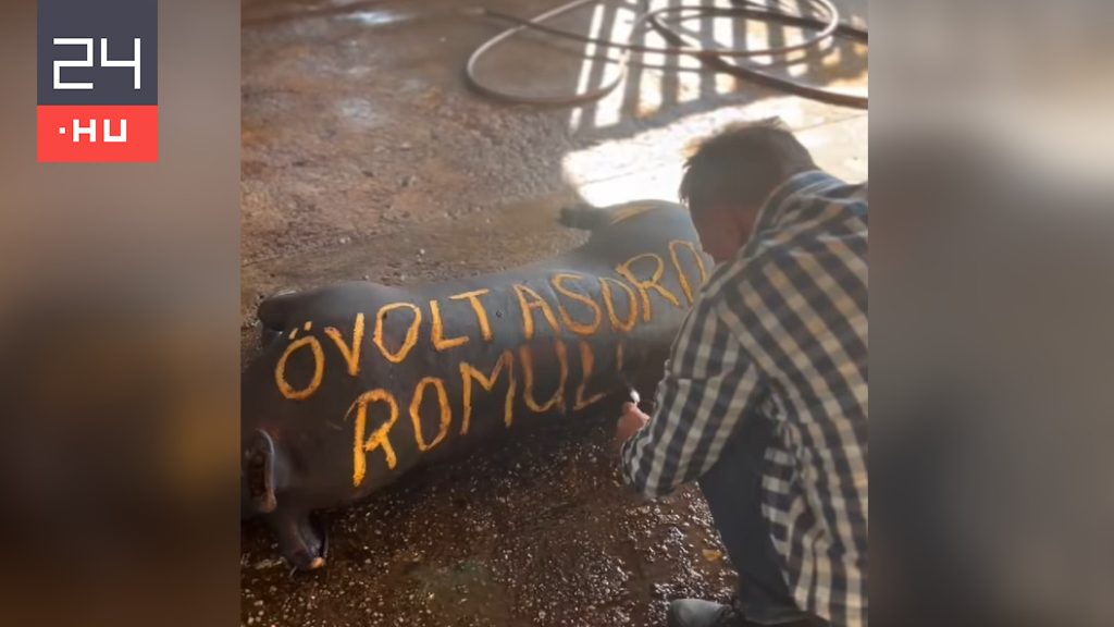 „Ő volt a soros Romulusz” – írta Pócs János egy megperzselt disznóra