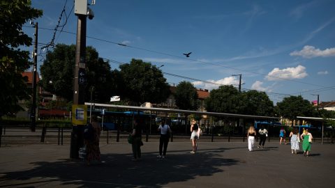 Tombol a kánikula: figyelmeztetés az egész országra