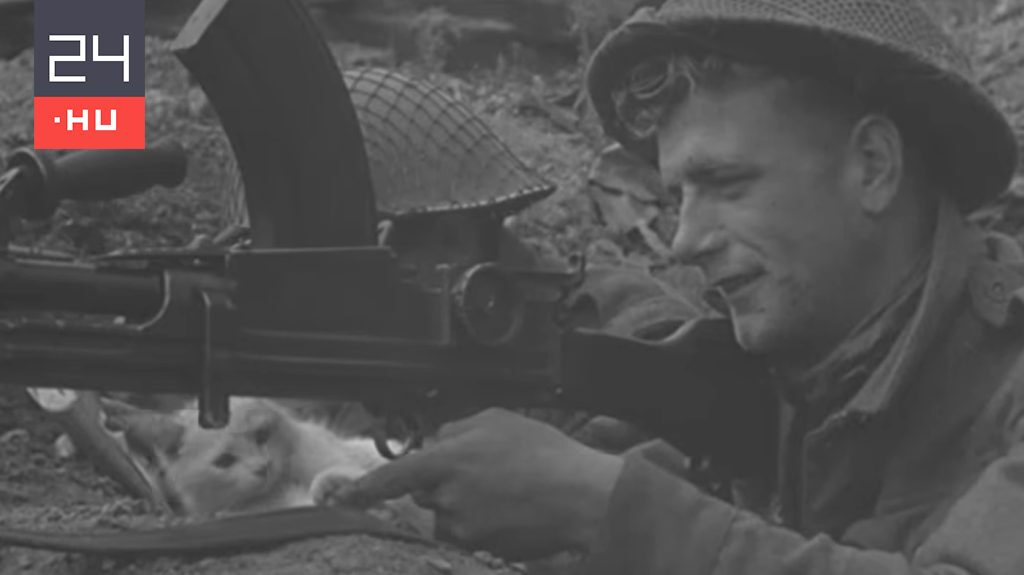Rövidfilm került elő egy, a normandiai hadszíntéren kismacskával pihenő brit katonáról