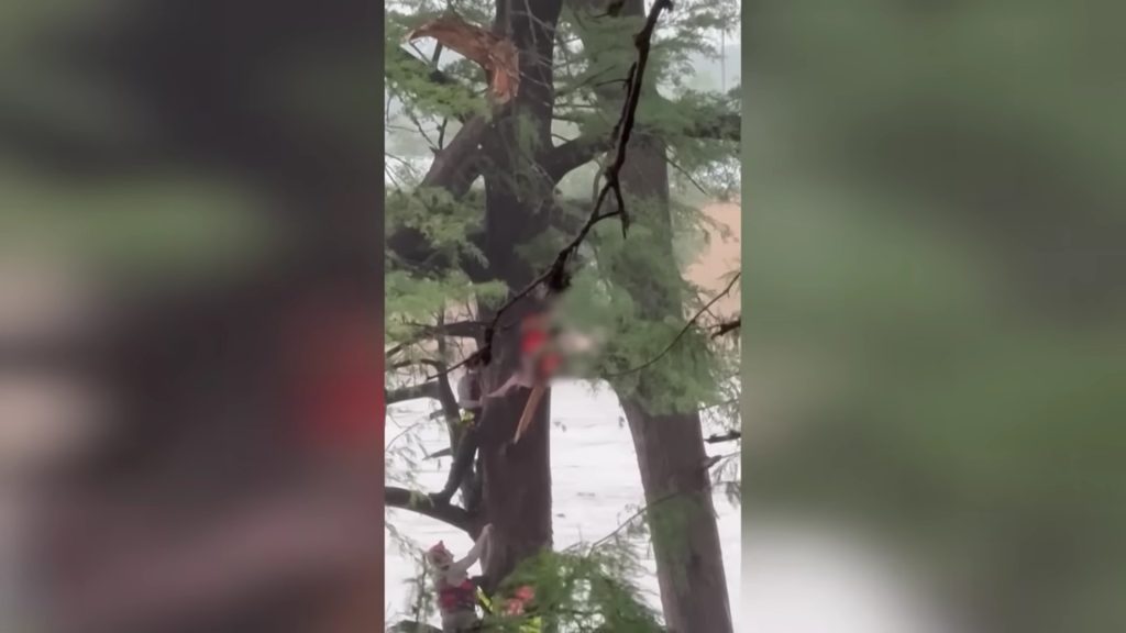 32 kilométerrel arrébb, egy fába kapaszkodva találták meg a texasi árvíz túlélőjét – videón a mentőakció