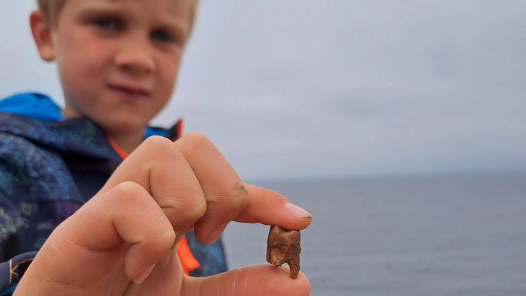 Bronzkori sírt fedezett fel egy hétéves fiú kirándulás közben Kép