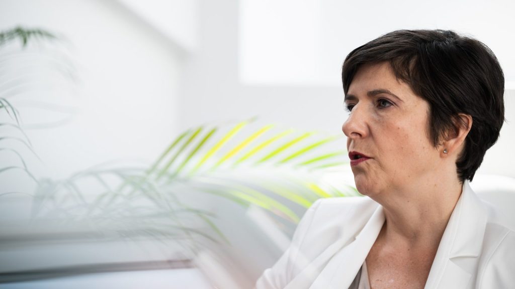 Dobrev Klára: Szégyen egy ilyen köztársasági elnök!