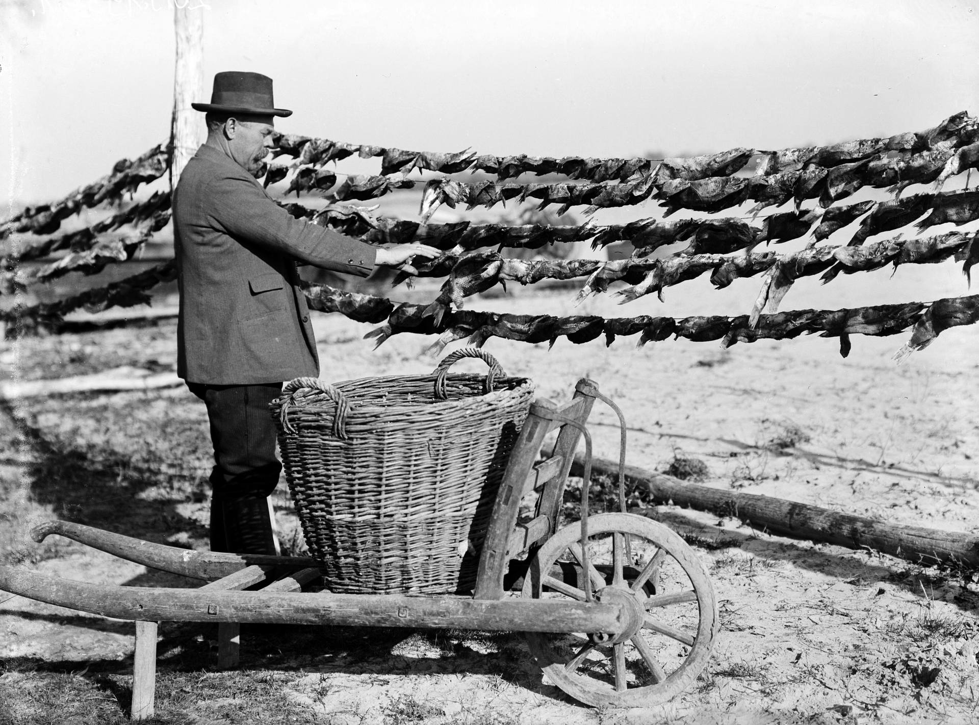 Világjáró fotográfus, úttörő hegymászó, egyetemnévadó – közkinccsé váltak Eötvös Loránd unikális fotói 11