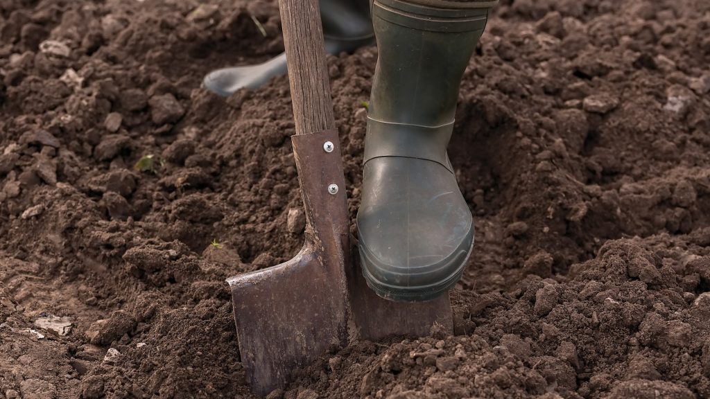 200 millió éves csontokra bukkantak a tómedret ásó falubeliek Kép