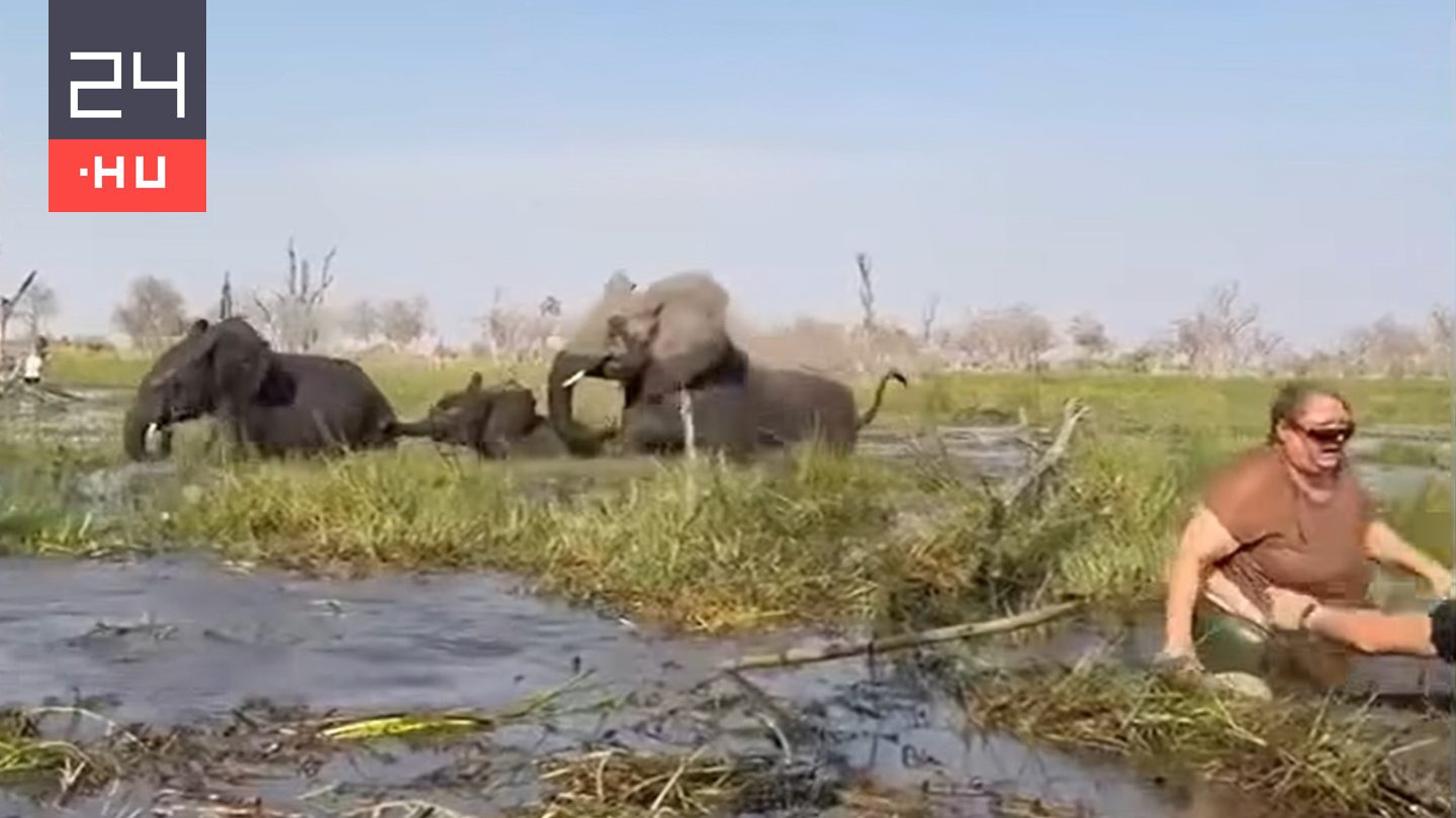 Félelmetes videó: hattonnás elefántbika támadt kajakozó brit turistákra az afrikai szafarin