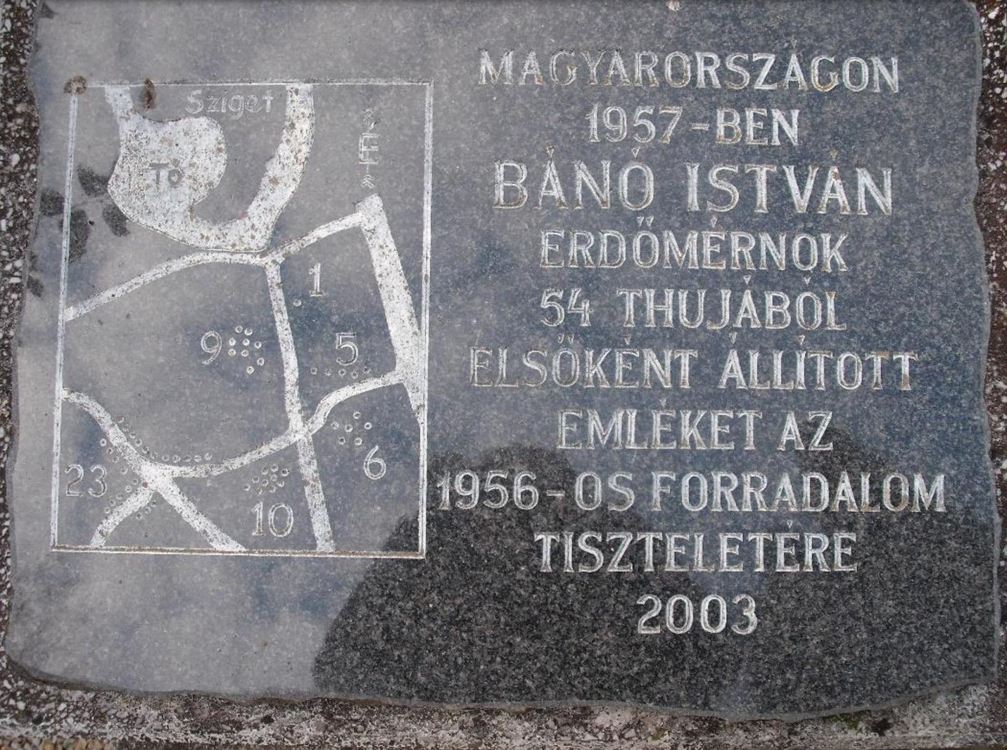 A forradalom leverése után fél évvel, titokban született meg az ország első 56-os emlékműve 1