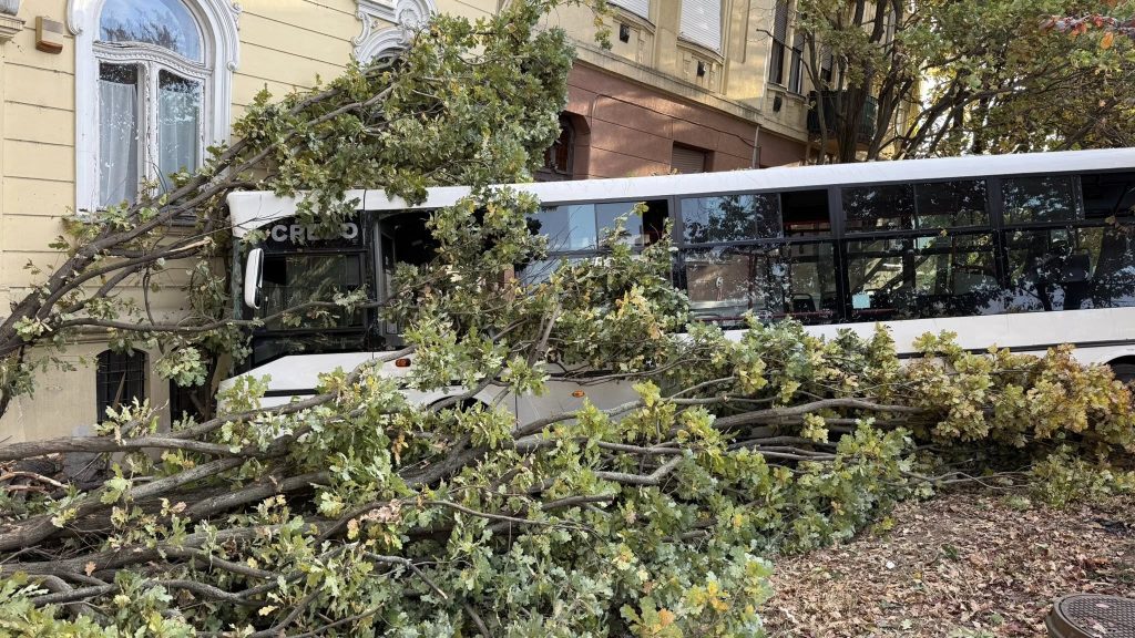 A buszsofőr rosszulléte miatt csapódhatott a busz a szolnoki gimnáziumba – megszólalt a polgármester